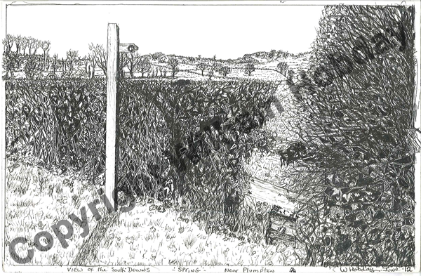 View of the south downs nr plumpton